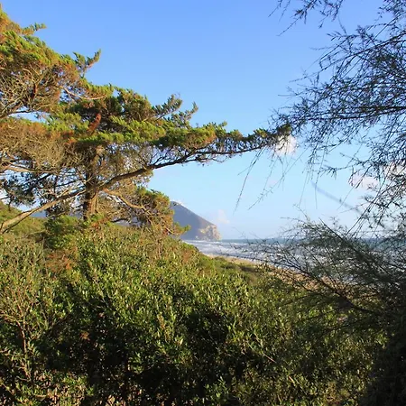 Vila Sabaudi *